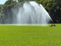 Ook hier droogte