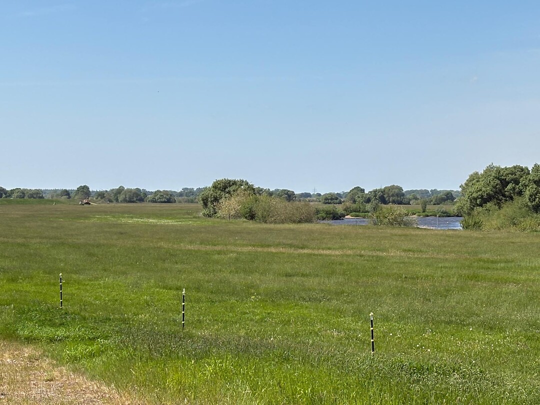 Zicht op de Aller