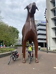 IMG_3029