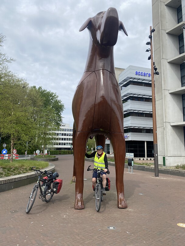 Bollo in Assen.