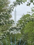 De Fallturm.