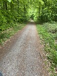 IMG_3152