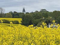 IMG_3157