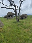 IMG_3188
