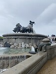 IMG_3229