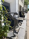 IMG_3263