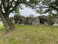 IMG_3293