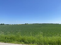 Eindeloze velden.