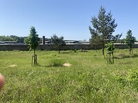 IMG_3385
