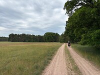 Veel over dit soort paden gefietst vandaag.