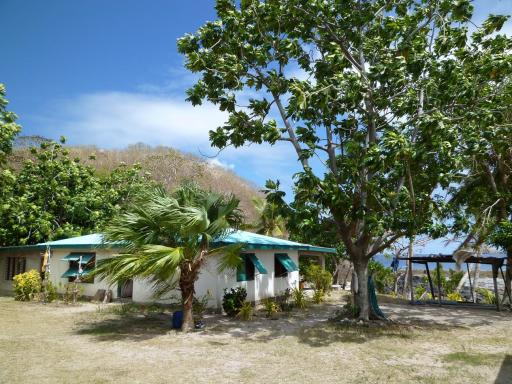 P1000358