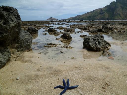 P1000392