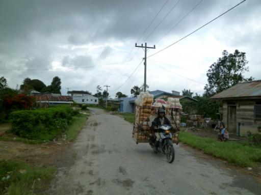 P1030635-550