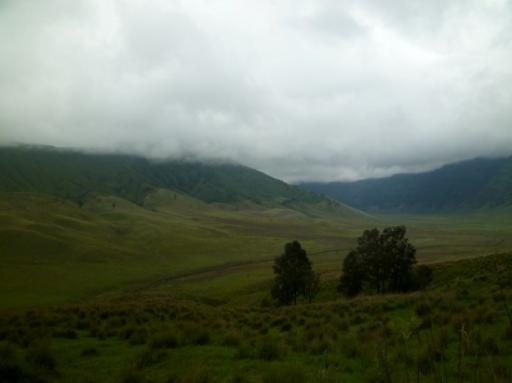 P1040691-550