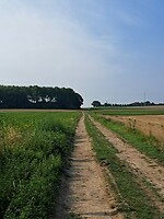 20250814_101308