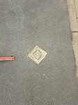 1000016254