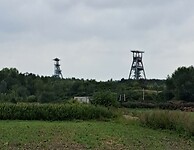 1000016249
