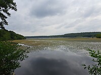 1000016245