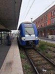 1000016560