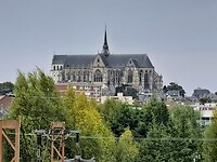1000016559