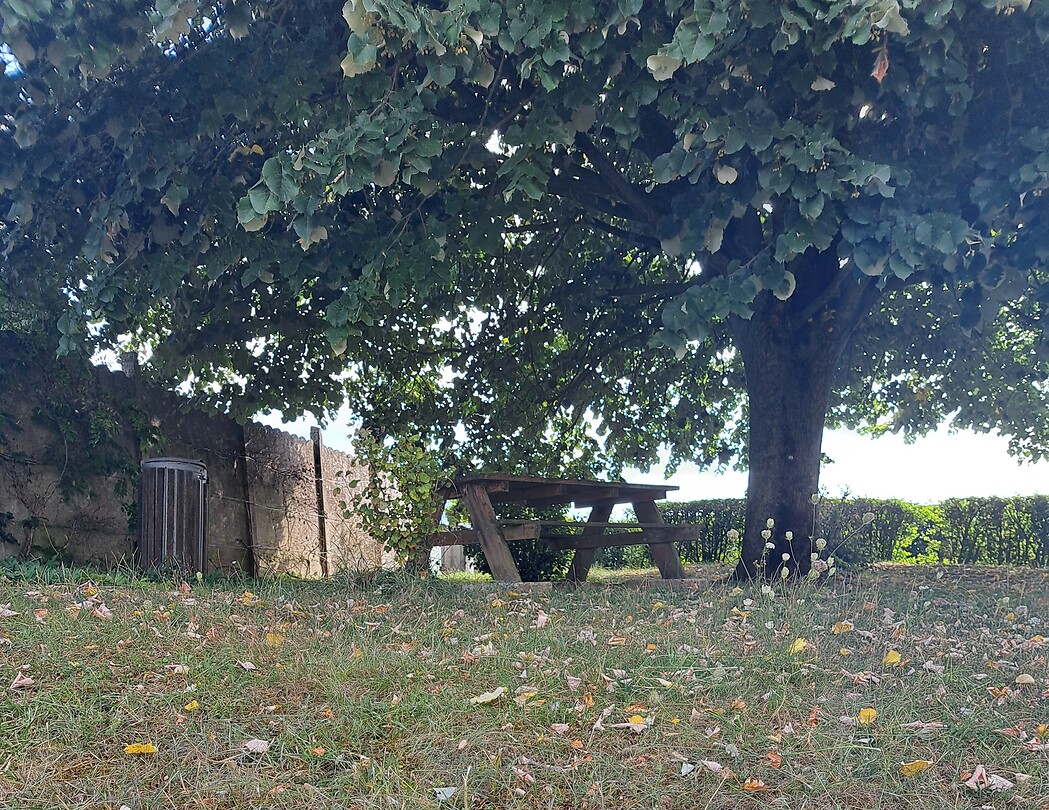 1000016656