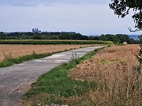 1000016781