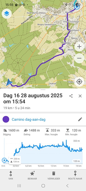 1000017281