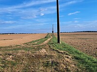 1000017338
