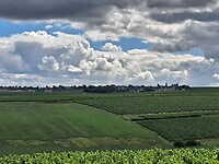 1000017803