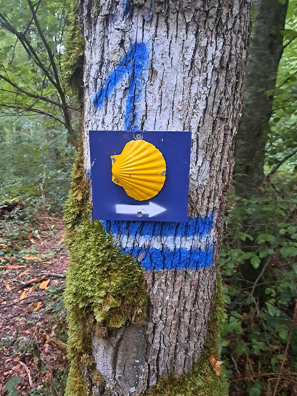 1000018067