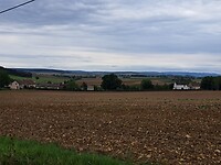1000018083