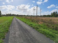 1000018591