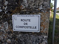 1000025604