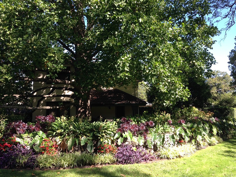 Fitzroy garden
