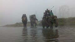 De elephant ride vanuit de kano gefotografeerd
