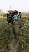 De elephant ride