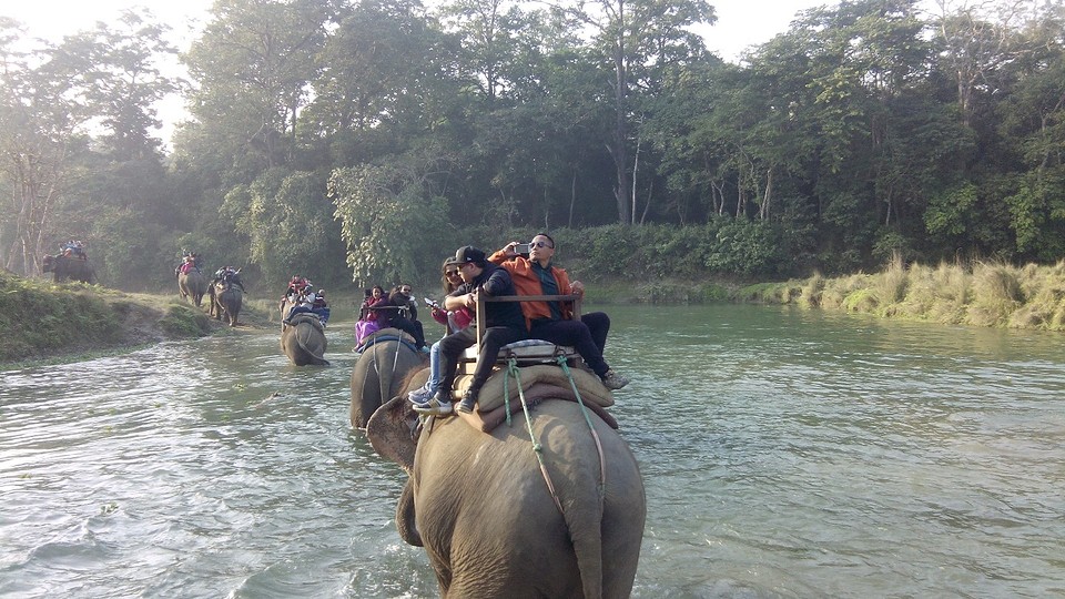 De elephant ride 2