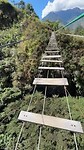 Hangbrug bij de ziplines