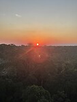 Zonsondergang boven de boomtoppen
