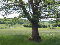 20190516_124442