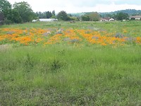 20190520_135619