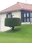 20190520_083608