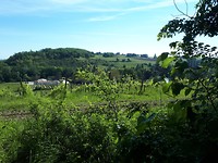 20190523_103937