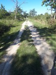 20190530_094800