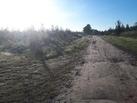 20190530_075103