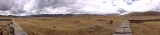 Pampas met ruine