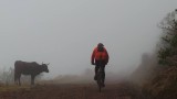 ik in de mist