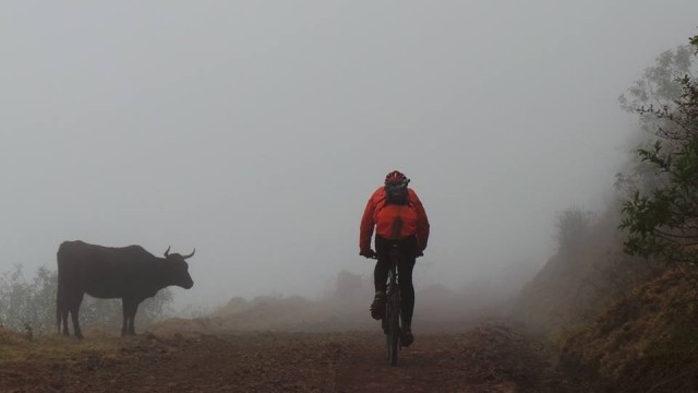 ik in de mist