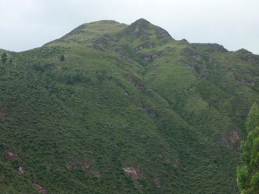 Die berg dus