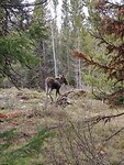 IMG_20220529_104356_HDR